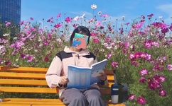 金钱帝国粤语版